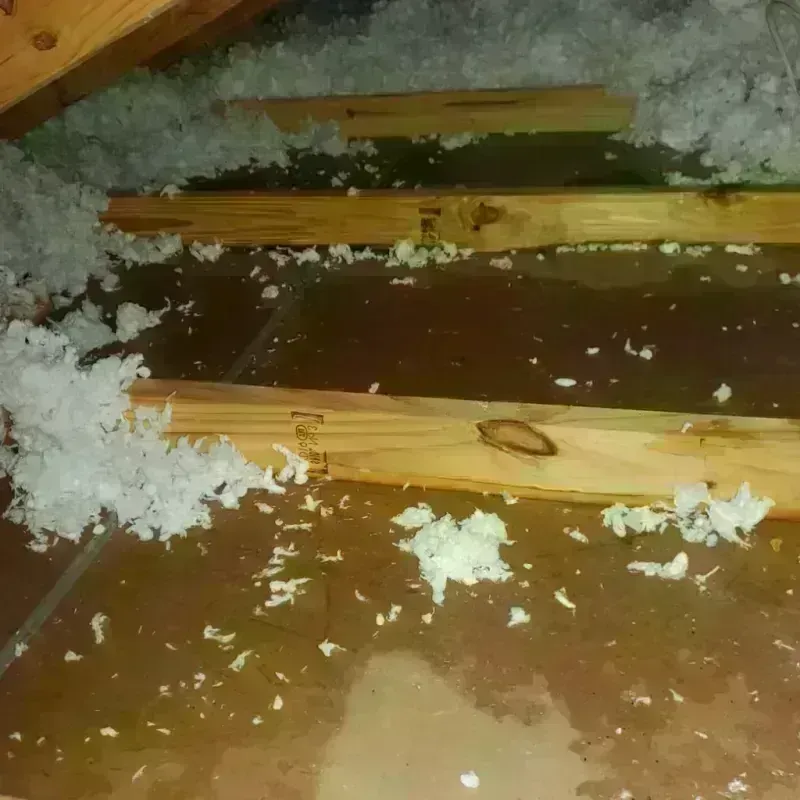 Attic Water Damage in Franklin County, KY