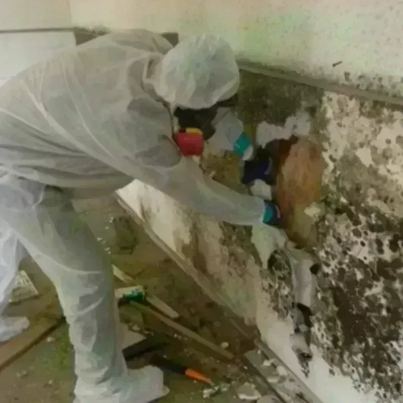 Mold Remediation and Removal in Franklin County, KY